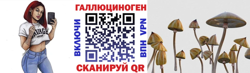 Псилоцибиновые грибы MAGIC MUSHROOMS  Любим 